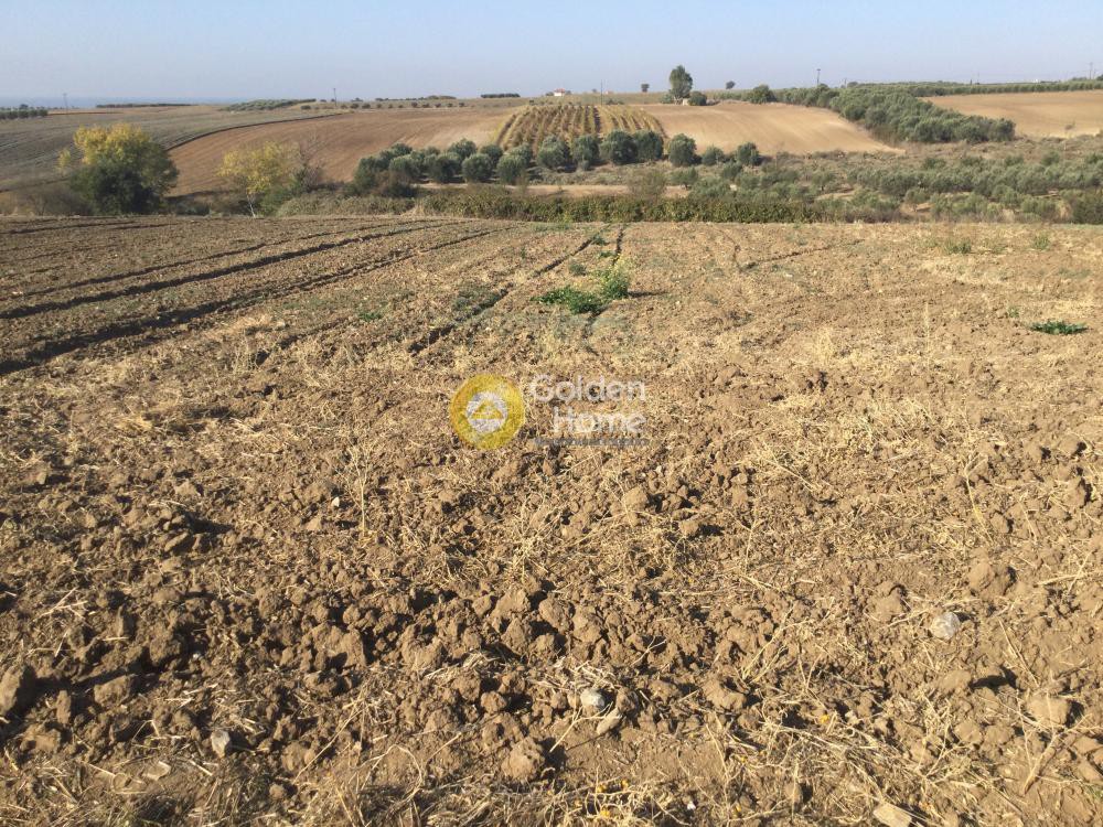 Αγροτεμάχια 4.440 τ.μ. προς πώληση, Μεσημέρι Επανομής