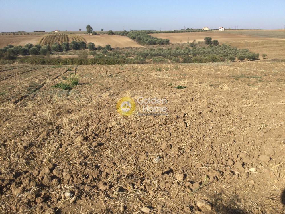 Αγροτεμάχια 4.440 τ.μ. προς πώληση, Μεσημέρι Επανομής