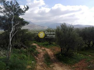 Οικόπεδο 1.000 τ.μ. για πώληση, Ν. Ηρακλείου, Καστέλλι-thumb-8