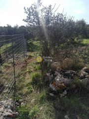 Οικόπεδο 1.000 τ.μ. για πώληση, Ν. Ηρακλείου, Καστέλλι-thumb-4