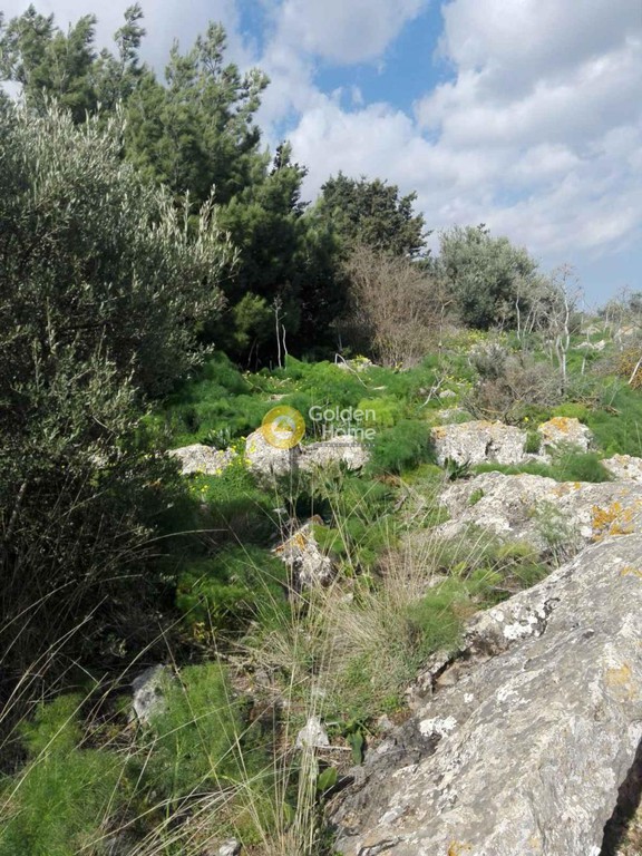 Οικόπεδο 1.000 τ.μ. προς πώληση, Ευαγγελισμός Καστελλίου