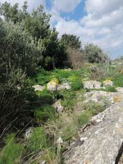 Οικόπεδο 1.000 τ.μ. για πώληση, Ν. Ηρακλείου, Καστέλλι-thumb-2