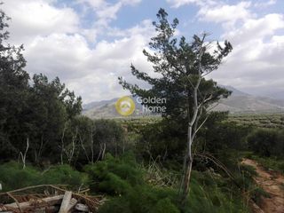 Οικόπεδο 1.000 τ.μ. για πώληση, Ν. Ηρακλείου, Καστέλλι-thumb-7