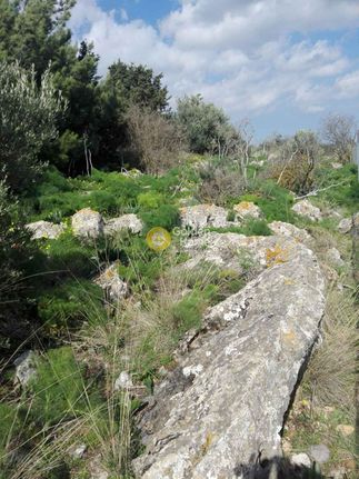 Οικόπεδο 1.000 τ.μ. για πώληση, Ν. Ηρακλείου, Καστέλλι