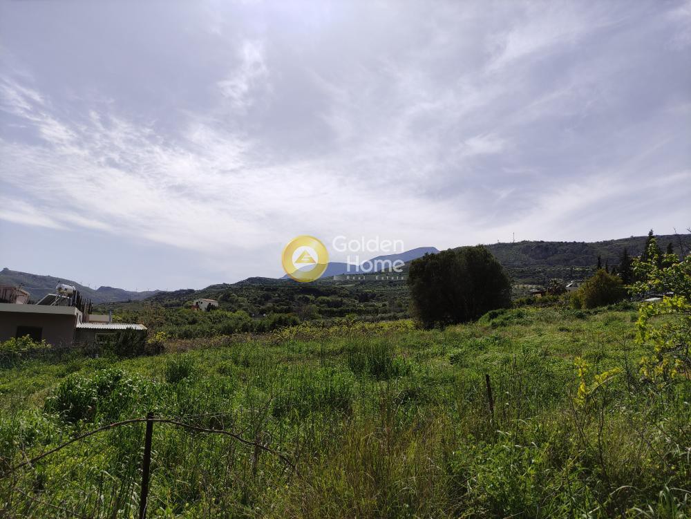 Οικόπεδο 500 τ.μ. προς πώληση, Κερασιά Τετραχωρίου