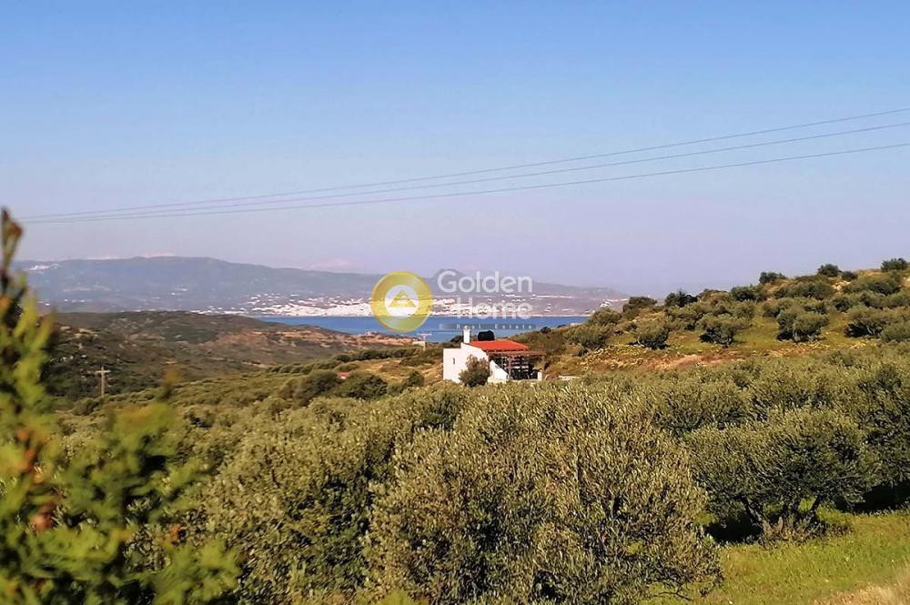 Οικόπεδο 25.000 τ.μ. προς πώληση, Ανάλουκας