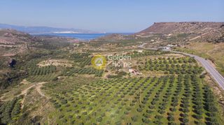 Οικόπεδο 25.000 τ.μ. προς πώληση, Ανάλουκας-thumb-3