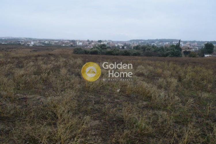 Αγροτεμάχια 6.500 τ.μ. προς πώληση, Λάκκωμα Καλλικράτειας