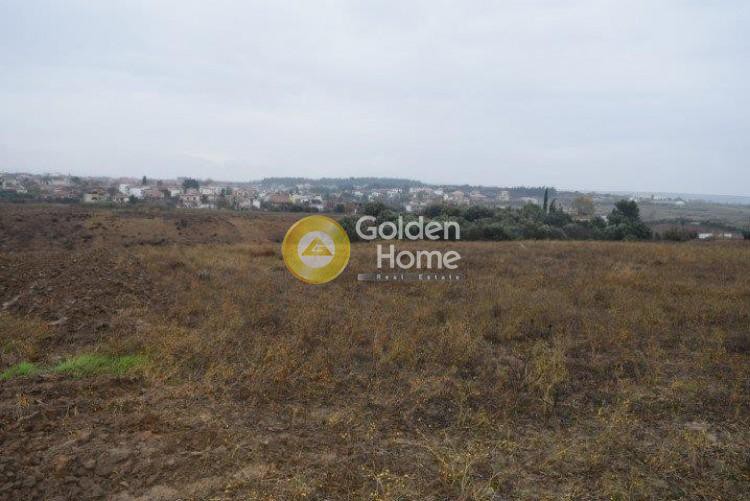 Αγροτεμάχια 6.500 τ.μ. προς πώληση, Λάκκωμα Καλλικράτειας