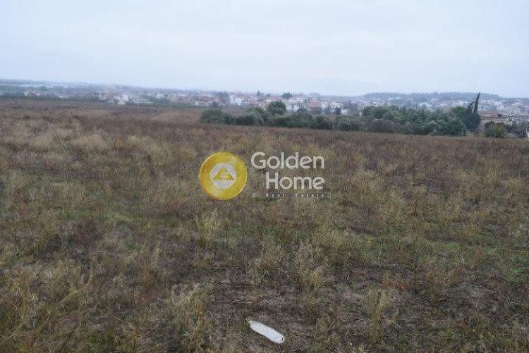 Αγροτεμάχια 6.500 τ.μ. προς πώληση, Λάκκωμα Καλλικράτειας