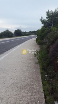 Αγροτεμάχια 20.000τ.μ. για πώληση-Λαύριο » Άνω θορικό