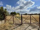 Οικόπεδο 8.000τ.μ. για πώληση-Κ. καπανδριτίου » Καπανδρίτι