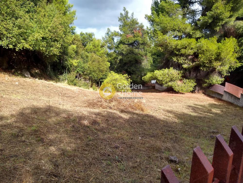 Αγροτεμάχια 925 τ.μ. προς πώληση, Κοκκινόβραχος Ωρωπού