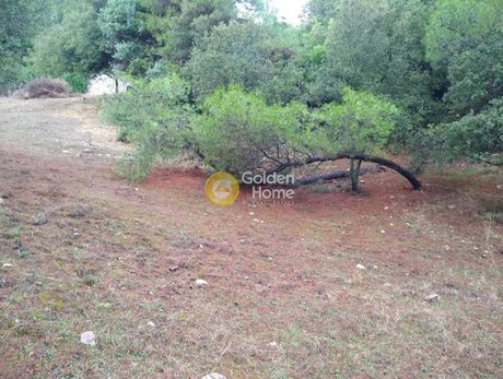 Αγροτεμάχια 925 τ.μ. για πώληση