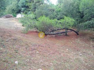 Αγροτεμάχια 925 τ.μ. για πώληση