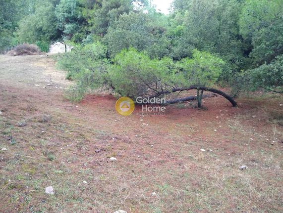 Parcel 925 sqm for sale, Rest Of Attica, Oropos
