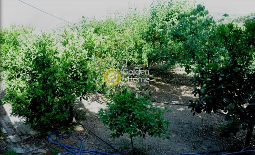 Μεζονέτα 84 τ.μ. προς πώληση, Πυράθι