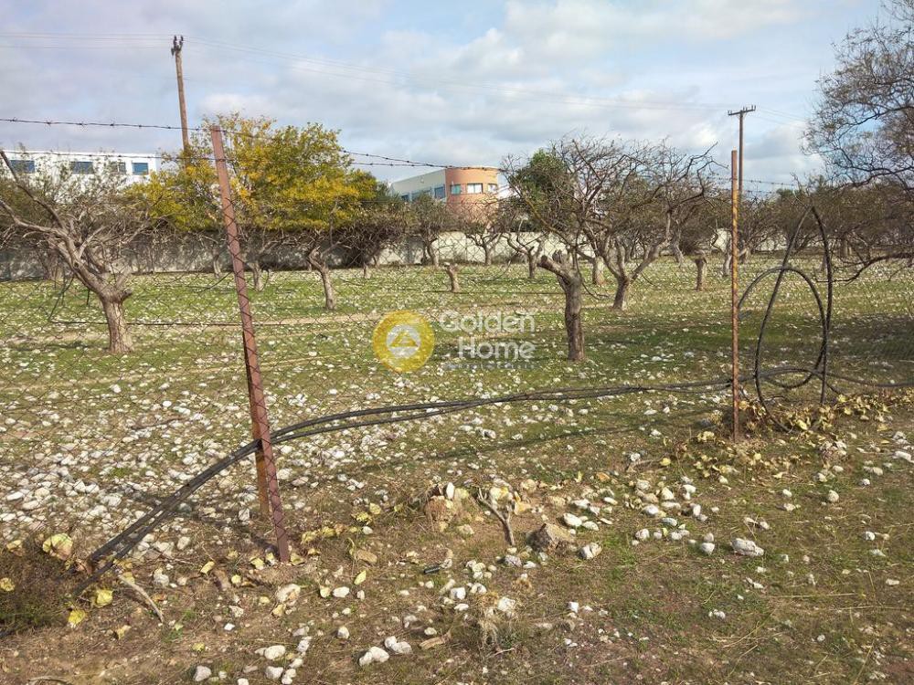 Αγροτεμάχια 7.000 τ.μ. προς ενοικίαση, Αθήνα - Δυτικά Προάστια, Αχαρνές