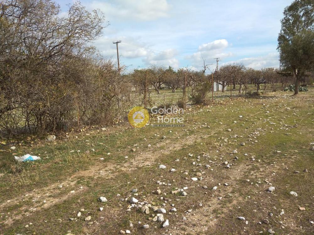 Αγροτεμάχια 7.000 τ.μ. προς ενοικίαση, Αθήνα - Δυτικά Προάστια, Αχαρνές
