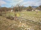 Αγροτεμάχια 7.000τ.μ. για ενοικίαση-Αχαρνές » Ολυμπιακό χωριό