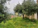 Οικόπεδο 800τ.μ. για πώληση-Ηράκλειο κρήτης » Άγιος βλάσιος