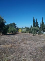 Οικόπεδο 10.000 τ.μ. για πώληση