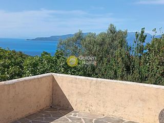 Κτίριο 674 τ.μ. προς πώληση, Εξωγή-thumb-3