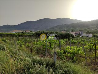 Οικόπεδο 800 τ.μ. για πώληση