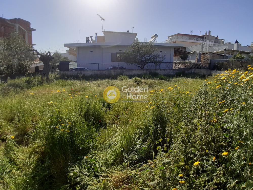 Οικόπεδο 1.150 τ.μ. προς πώληση, Νέος Πόντος