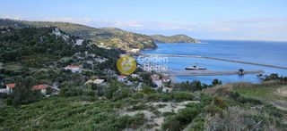Αγροτεμάχια 5.500 τ.μ. για πώληση