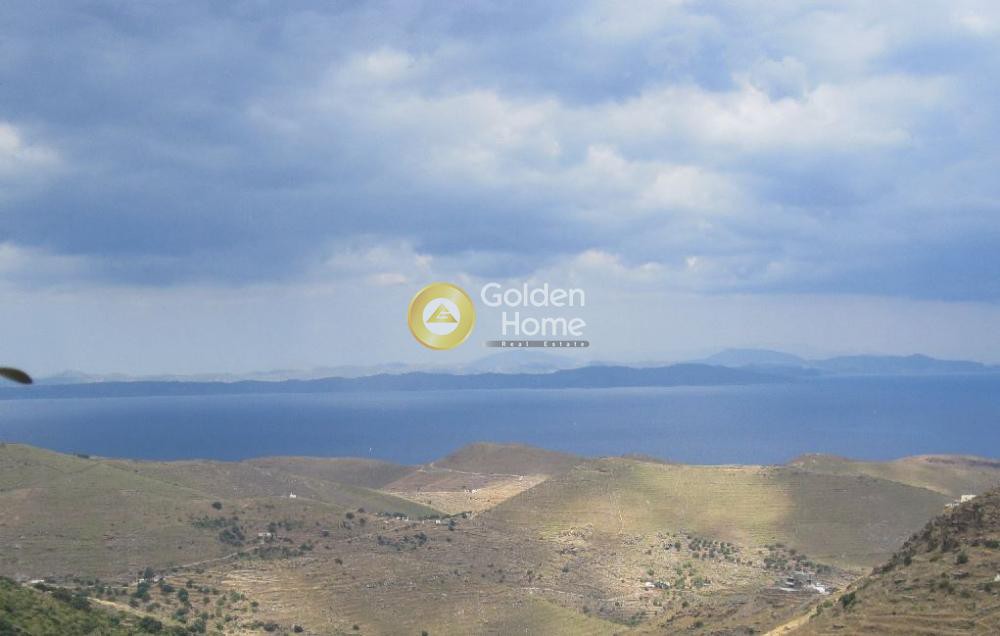 Οικόπεδο 6.500 τ.μ. προς πώληση, Χώρα Κέας