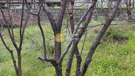 Οικόπεδο 363τ.μ. για πώληση-Αχαρνές » Αγριλέζα