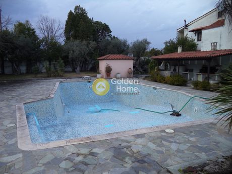 Μεζονέτα 300τ.μ. για πώληση-Αιγιάλεια » Λόγγος