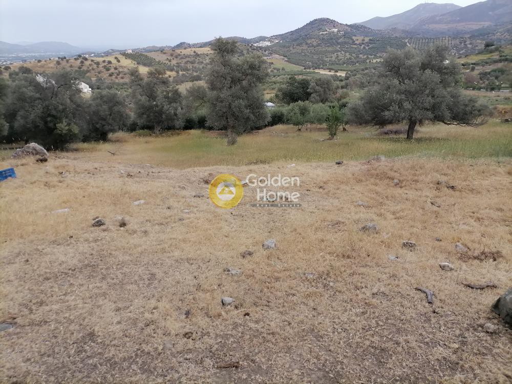 Οικόπεδο 390 τ.μ. προς πώληση, Σίβας
