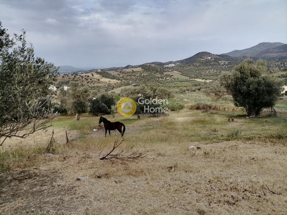 Οικόπεδο 390 τ.μ. προς πώληση, Σίβας