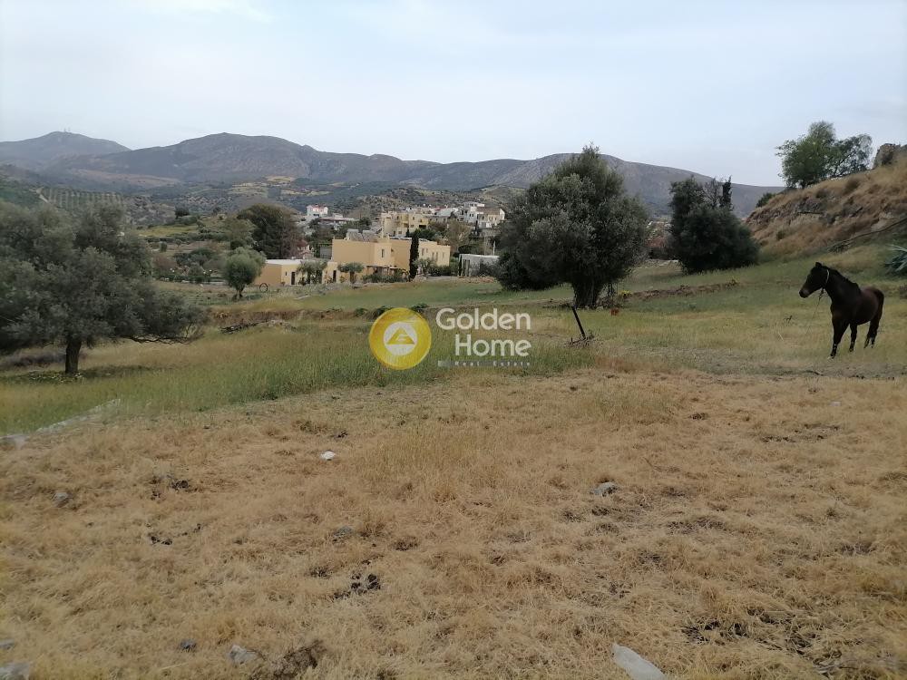 Οικόπεδο 390 τ.μ. προς πώληση, Σίβας