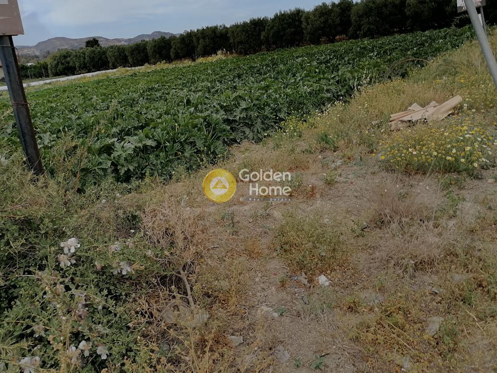 Land plot 4.022 sqm for sale, Pompia