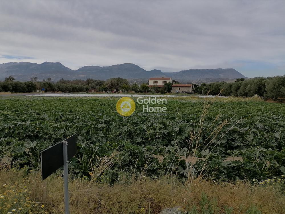 Land plot 4.022 sqm for sale, Pompia