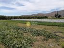 Land plot 4.022sqm for sale-Moires » Pompia