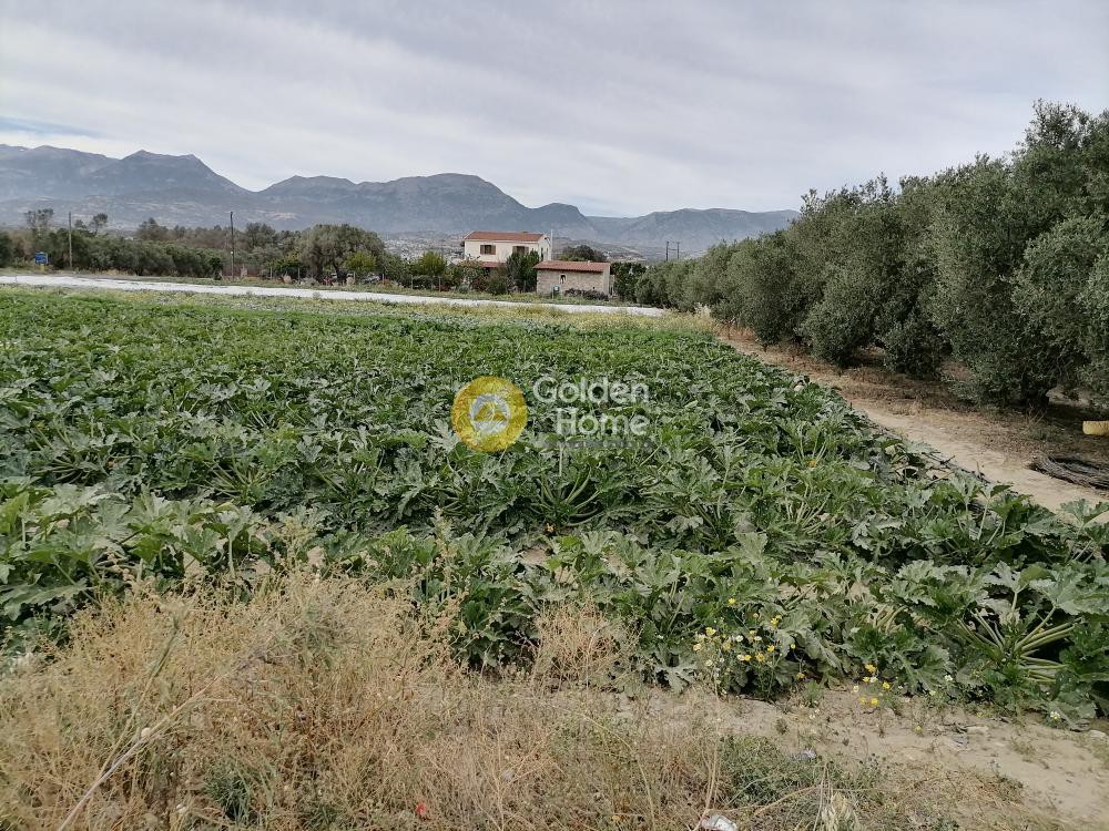Land plot 4.022 sqm for sale, Pompia