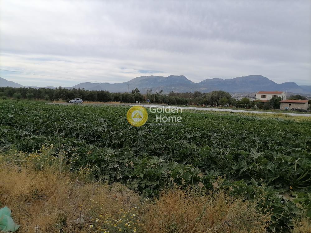 Land plot 4.022 sqm for sale, Pompia