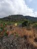 Αγροτεμάχια 4.366τ.μ. για πώληση-Λεύκτρος » Πύργος