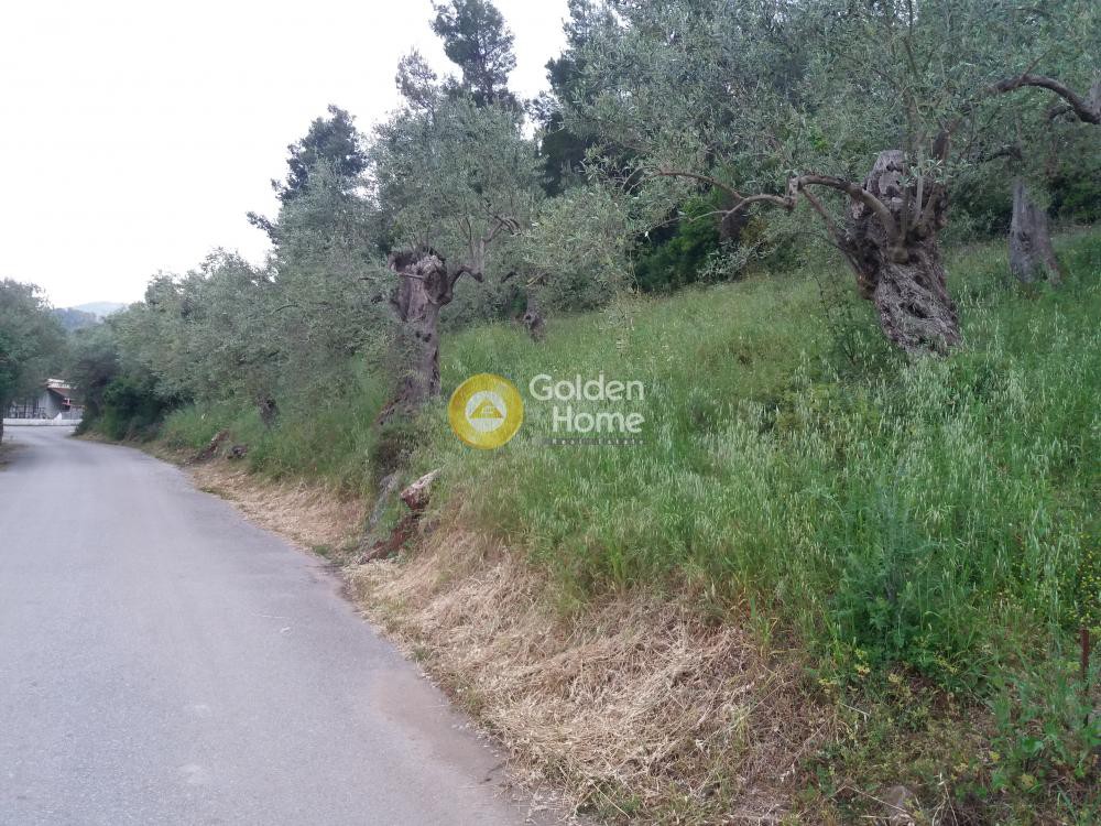 Αγροτεμάχια 630 τ.μ. προς πώληση, Ψαροπούλι