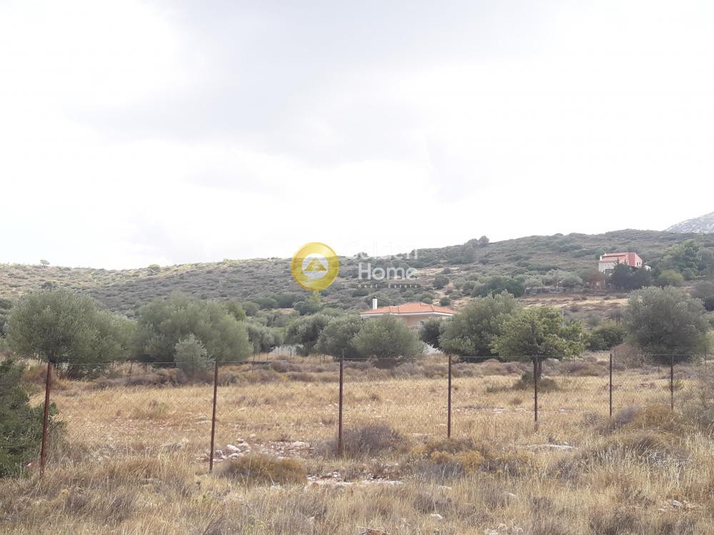 Αγροτεμάχια 900 τ.μ. προς πώληση, Κέντρο Καλυβίων Θορικού