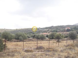 Αγροτεμάχια 900 τ.μ. για πώληση