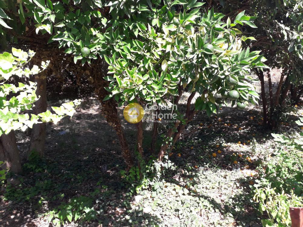 Land plot 232 sqm for sale, Pirgella