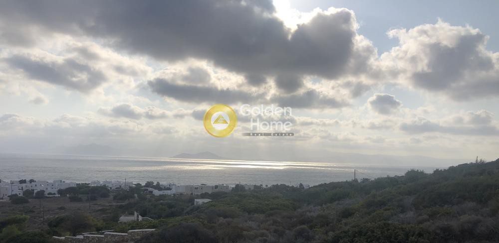 Αγροτεμάχια 16.150 τ.μ. προς πώληση, Ιστέρνι