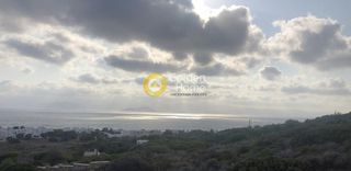 Αγροτεμάχια 16.150 τ.μ. για πώληση