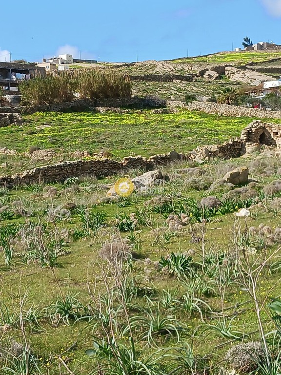 Αγροτεμάχια 10.721 τ.μ. προς πώληση, Πάνορμος Μυκόνου