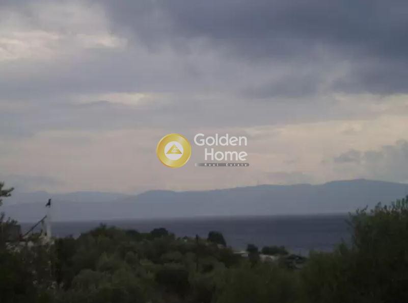 Οικόπεδο 4.005 τ.μ. προς πώληση, Παραλία Αγίου Νικολάου
